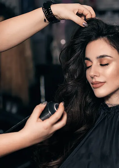 Fixation des cheveux